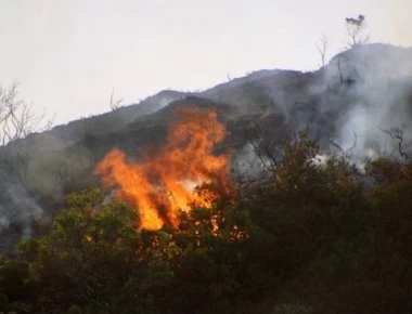 Μεγάλη πυρκαγιά στους Αγίους Θεοδώρους